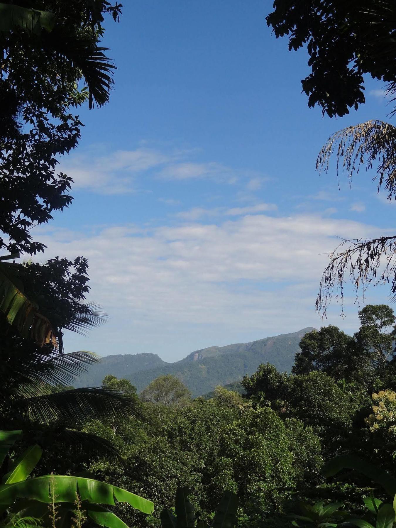 Strathisla Tea Estate Bungalow Matale Exterior foto